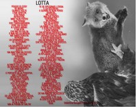 /album/galleria-fotografica/c1-jpg/