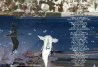 /album/galleria-fotografica/i-jpg/