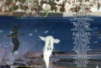 /album/galleria-fotografica/fb-img-1448611535802-jpg/