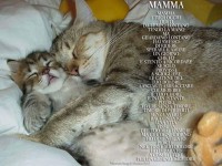 /album/galleria-fotografica/fb-img-1450536187011-jpg/