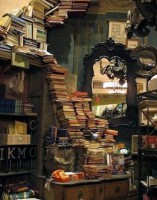 /album/galleria-fotografica/fb-img-1451975388833-jpg/