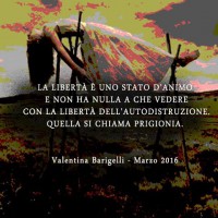 /album/galleria-fotografica/a12814182-10207423242452054-7100374158988982224-n-jpg/