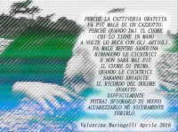 /album/galleria-fotografica/a13043773-10207776057072199-8569093312418131379-n-jpg/